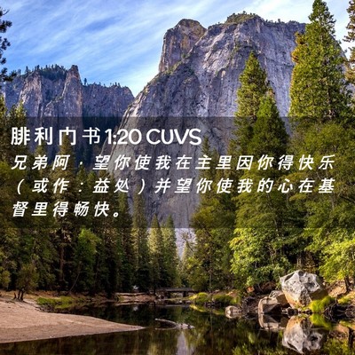 Picture 02 - 腓 利 门 书 1:20 CUVS - 兄 弟 阿 ， 望 你 使 我 在 主 里 因 - Bible Verse Picture
