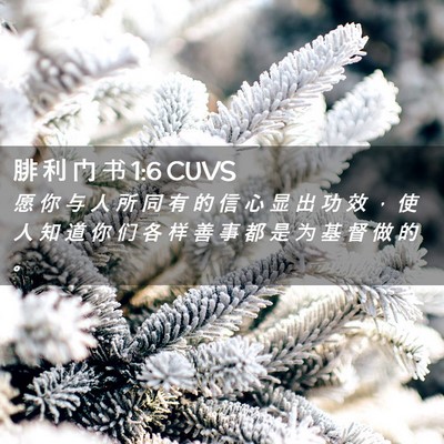 Picture 02 - 腓 利 门 书 1:6 CUVS - 愿 你 与 人 所 同 有 的 信 心 显 出 - Bible Verse Picture