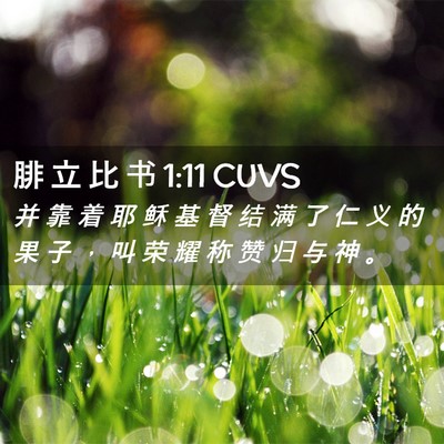 Picture 02 - 腓 立 比 书 1:11 CUVS - 并 靠 着 耶 稣 基 督 结 满 了 仁 义 - Bible Verse Picture