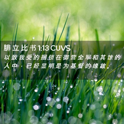 Picture 02 - 腓 立 比 书 1:13 CUVS - 以 致 我 受 的 捆 锁 在 御 营 全 军 - Bible Verse Picture