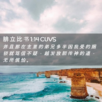 Picture 02 - 腓 立 比 书 1:14 CUVS - 并 且 那 在 主 里 的 弟 兄 多 半 因 - Bible Verse Picture