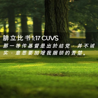 Picture 02 - 腓 立 比 书 1:17 CUVS - 那 一 等 传 基 督 是 出 於 结 党 ， - Bible Verse Picture