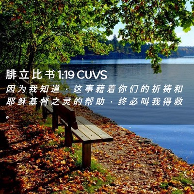 Picture 02 - 腓 立 比 书 1:19 CUVS - 因 为 我 知 道 ， 这 事 藉 着 你 们 - Bible Verse Picture