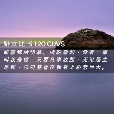 Picture 02 - 腓 立 比 书 1:20 CUVS - 照 着 我 所 切 慕 、 所 盼 望 的 ， - Bible Verse Picture