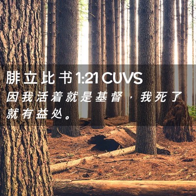 Picture 02 - 腓 立 比 书 1:21 CUVS - 因 我 活 着 就 是 基 督 ， 我 死 了 - Bible Verse Picture