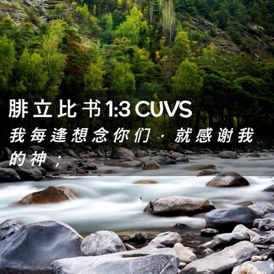 Picture 02 - 腓 立 比 书 1:3 CUVS - 我 每 逢 想 念 你 们 ， 就 感 谢 我 - Bible Verse Picture