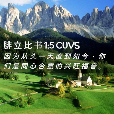 Picture 02 - 腓 立 比 书 1:5 CUVS - 因 为 从 头 一 天 直 到 如 今 ， 你 - Bible Verse Picture