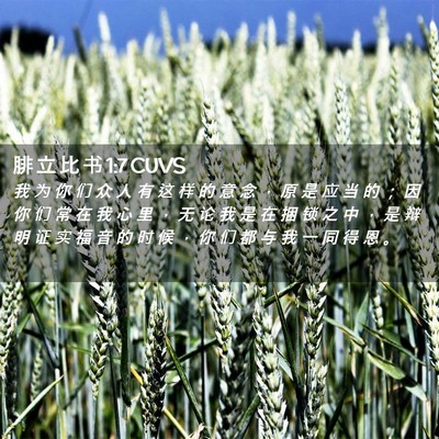 Picture 02 - 腓 立 比 书 1:7 CUVS - 我 为 你 们 众 人 有 这 样 的 意 念 - Bible Verse Picture
