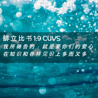 Picture 02 - 腓 立 比 书 1:9 CUVS - 我 所 祷 告 的 ， 就 是 要 你 们 的 - Bible Verse Picture
