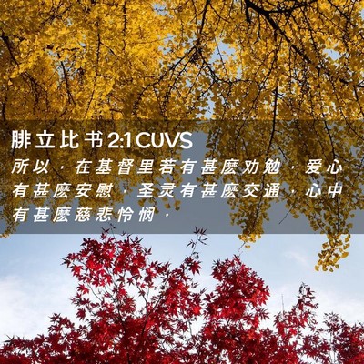 Picture 02 - 腓 立 比 书 2:1 CUVS - 所 以 ， 在 基 督 里 若 有 甚 麽 劝 - Bible Verse Picture
