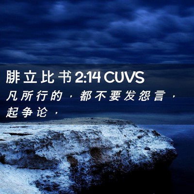 Picture 02 - 腓 立 比 书 2:14 CUVS - 凡 所 行 的 ， 都 不 要 发 怨 言 ， - Bible Verse Picture