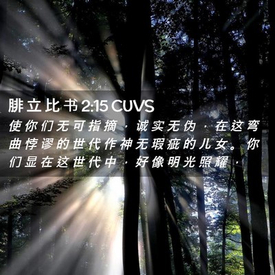 Picture 02 - 腓 立 比 书 2:15 CUVS - 使 你 们 无 可 指 摘 ， 诚 实 无 伪 - Bible Verse Picture