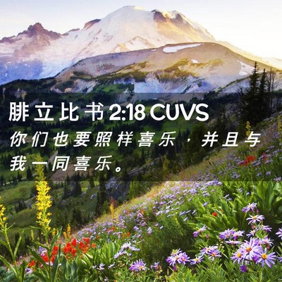 Picture 02 - 腓 立 比 书 2:18 CUVS - 你 们 也 要 照 样 喜 乐 ， 并 且 与 - Bible Verse Picture