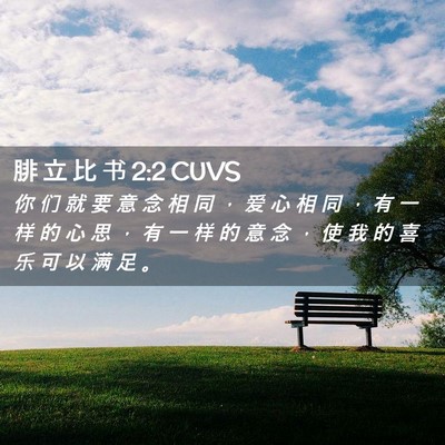 Picture 02 - 腓 立 比 书 2:2 CUVS - 你 们 就 要 意 念 相 同 ， 爱 心 相 - Bible Verse Picture