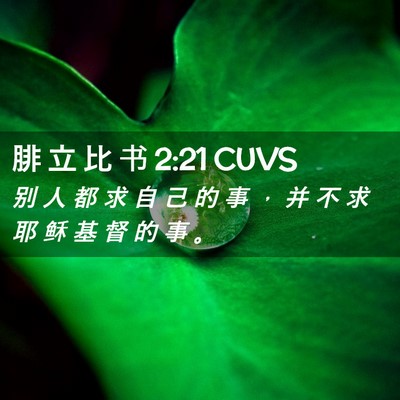 Picture 02 - 腓 立 比 书 2:21 CUVS - 别 人 都 求 自 己 的 事 ， 并 不 求 - Bible Verse Picture