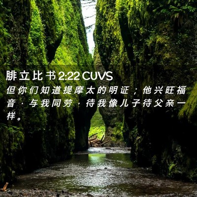 Picture 02 - 腓 立 比 书 2:22 CUVS - 但 你 们 知 道 提 摩 太 的 明 证 ； - Bible Verse Picture