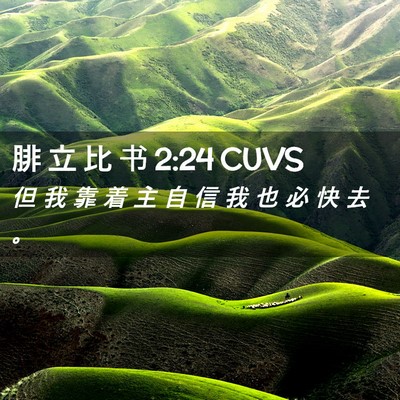 Picture 02 - 腓 立 比 书 2:24 CUVS - 但 我 靠 着 主 自 信 我 也 必 快 去 - Bible Verse Picture