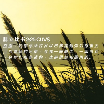 Picture 02 - 腓 立 比 书 2:25 CUVS - 然 而 ， 我 想 必 须 打 发 以 巴 弗 - Bible Verse Picture