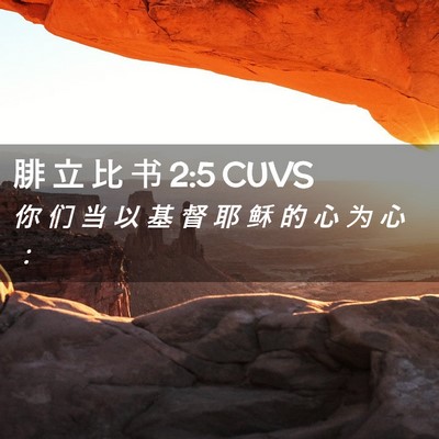 Picture 02 - 腓 立 比 书 2:5 CUVS - 你 们 当 以 基 督 耶 稣 的 心 为 心 - Bible Verse Picture