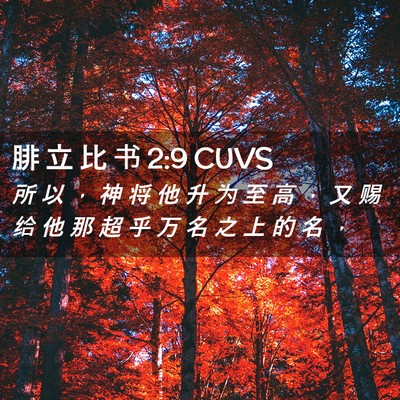 Picture 02 - 腓 立 比 书 2:9 CUVS - 所 以 ， 神 将 他 升 为 至 高 ， 又 - Bible Verse Picture