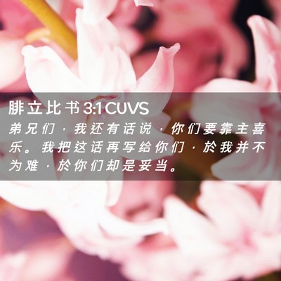 Picture 02 - 腓 立 比 书 3:1 CUVS - 弟 兄 们 ， 我 还 有 话 说 ， 你 们 - Bible Verse Picture