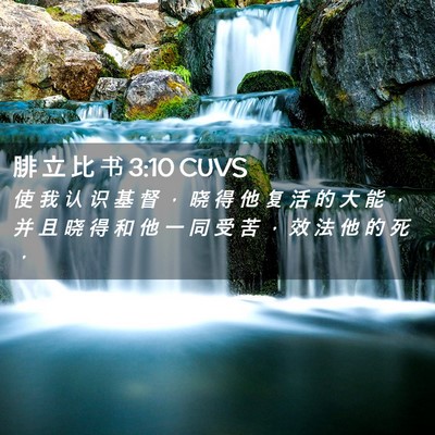 Picture 02 - 腓 立 比 书 3:10 CUVS - 使 我 认 识 基 督 ， 晓 得 他 复 活 - Bible Verse Picture