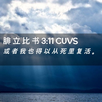Picture 02 - 腓 立 比 书 3:11 CUVS - 或 者 我 也 得 以 从 死 里 复 活 - Bible Verse Picture