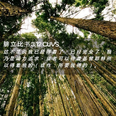 Picture 02 - 腓 立 比 书 3:12 CUVS - 这 不 是 说 我 已 经 得 着 了 ， 已 - Bible Verse Picture