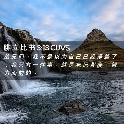 Picture 02 - 腓 立 比 书 3:13 CUVS - 弟 兄 们 ， 我 不 是 以 为 自 己 已 - Bible Verse Picture