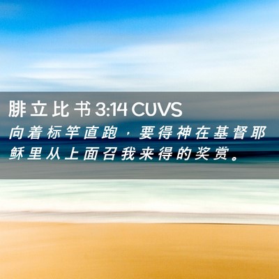 Picture 02 - 腓 立 比 书 3:14 CUVS - 向 着 标 竿 直 跑 ， 要 得 神 在 基 - Bible Verse Picture