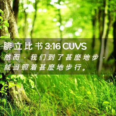 Picture 02 - 腓 立 比 书 3:16 CUVS - 然 而 ， 我 们 到 了 甚 麽 地 步 ， - Bible Verse Picture
