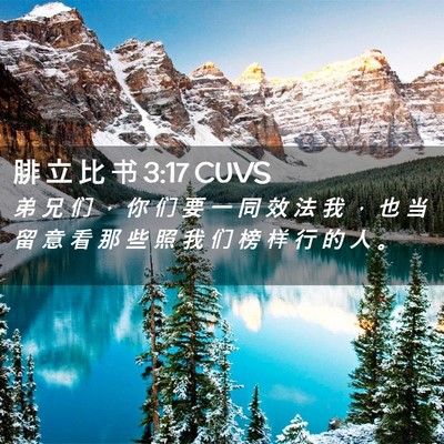 Picture 02 - 腓 立 比 书 3:17 CUVS - 弟 兄 们 ， 你 们 要 一 同 效 法 我 - Bible Verse Picture