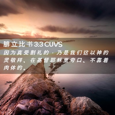 Picture 02 - 腓 立 比 书 3:3 CUVS - 因 为 真 受 割 礼 的 ， 乃 是 我 们 - Bible Verse Picture