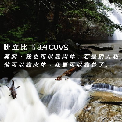 Picture 02 - 腓 立 比 书 3:4 CUVS - 其 实 ， 我 也 可 以 靠 肉 体 ； 若 - Bible Verse Picture