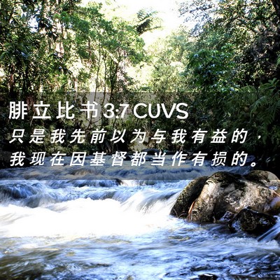 Picture 02 - 腓 立 比 书 3:7 CUVS - 只 是 我 先 前 以 为 与 我 有 益 的 - Bible Verse Picture