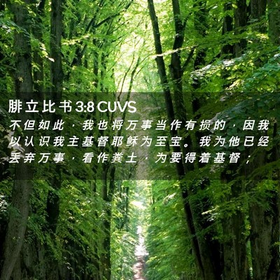 Picture 02 - 腓 立 比 书 3:8 CUVS - 不 但 如 此 ， 我 也 将 万 事 当 作 - Bible Verse Picture