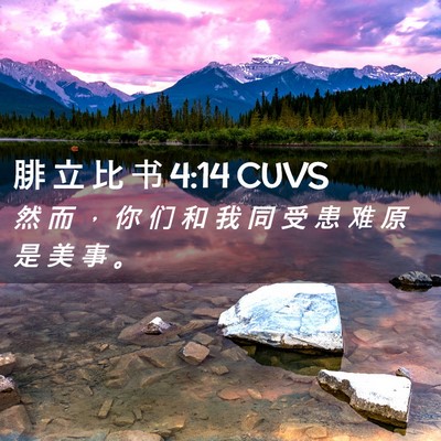 Picture 02 - 腓 立 比 书 4:14 CUVS - 然 而 ， 你 们 和 我 同 受 患 难 原 - Bible Verse Picture