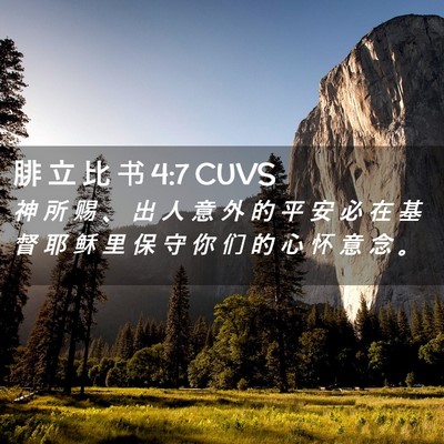 Picture 02 - 腓 立 比 书 4:7 CUVS - 神 所 赐 、 出 人 意 外 的 平 安 必 - Bible Verse Picture