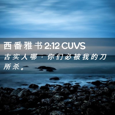Picture 02 - 西 番 雅 书 2:12 CUVS - 古 实 人 哪 ， 你 们 必 被 我 的 刀 - Bible Verse Picture