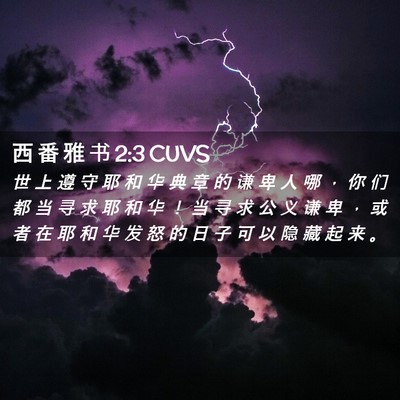Picture 02 - 西 番 雅 书 2:3 CUVS - 世 上 遵 守 耶 和 华 典 章 的 谦 卑 - Bible Verse Picture