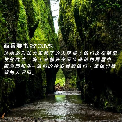 Picture 02 - 西 番 雅 书 2:7 CUVS - 这 地 必 为 犹 大 家 剩 下 的 人 所 - Bible Verse Picture