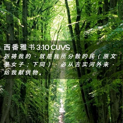 Picture 02 - 西 番 雅 书 3:10 CUVS - 祈 祷 我 的 ， 就 是 我 所 分 散 的 - Bible Verse Picture