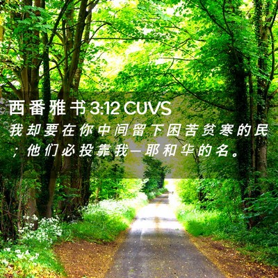 Picture 02 - 西 番 雅 书 3:12 CUVS - 我 却 要 在 你 中 间 留 下 困 苦 贫 - Bible Verse Picture