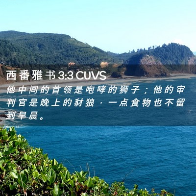 Picture 02 - 西 番 雅 书 3:3 CUVS - 他 中 间 的 首 领 是 咆 哮 的 狮 子 - Bible Verse Picture