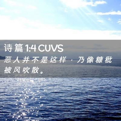 Picture 02 - 诗 篇 1:4 CUVS - 恶 人 并 不 是 这 样 ， 乃 像 糠 秕 - Bible Verse Picture