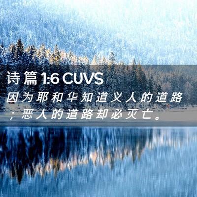 Picture 02 - 诗 篇 1:6 CUVS - 因 为 耶 和 华 知 道 义 人 的 道 路 - Bible Verse Picture