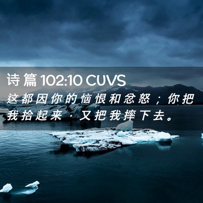 Picture 02 - 诗 篇 102:10 CUVS - 这 都 因 你 的 恼 恨 和 忿 怒 ； 你 - Bible Verse Picture