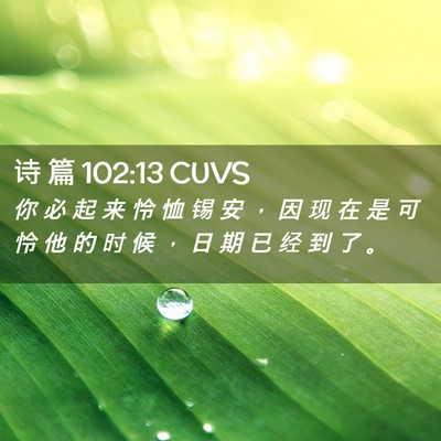 Picture 02 - 诗 篇 102:13 CUVS - 你 必 起 来 怜 恤 锡 安 ， 因 现 在 - Bible Verse Picture