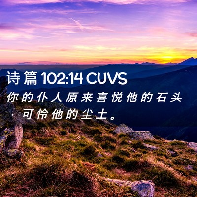 Picture 02 - 诗 篇 102:14 CUVS - 你 的 仆 人 原 来 喜 悦 他 的 石 头 - Bible Verse Picture