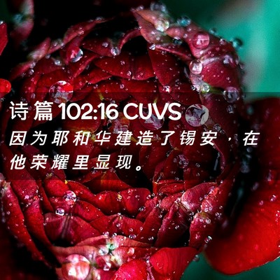 Picture 02 - 诗 篇 102:16 CUVS - 因 为 耶 和 华 建 造 了 锡 安 ， 在 - Bible Verse Picture